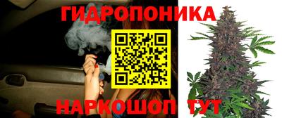 хмурый Кинель